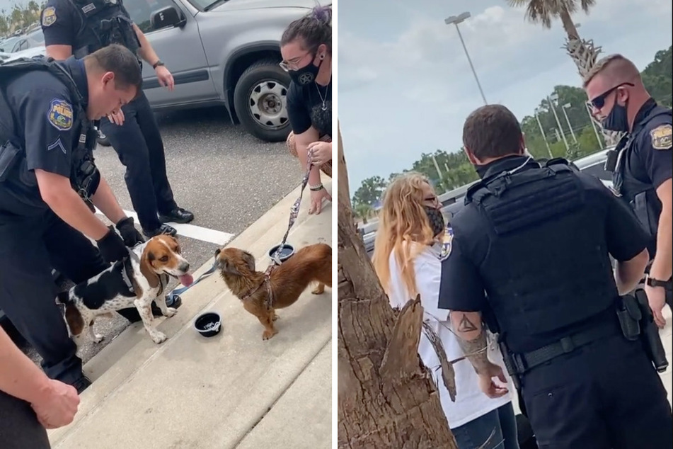 The four-legged friends were looked after by police (l.), but when the owner turned up, she began to argue with the officers (r.).