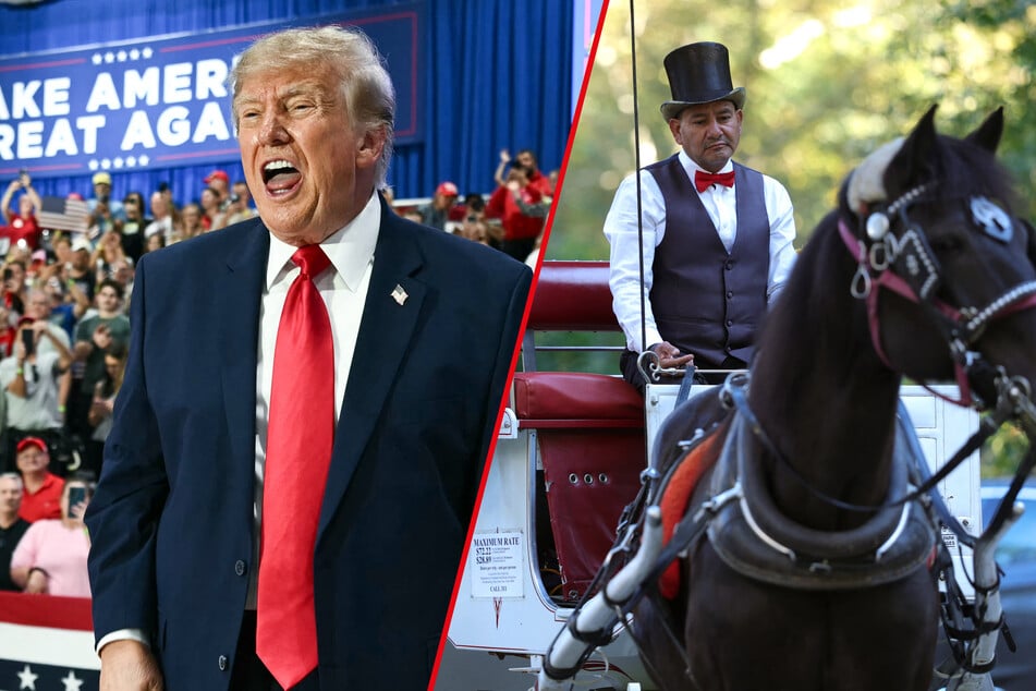 President Donald Trump (l.) complained on social media after New York's city council voted in favor of a ban on horse-drawn carriages in Central Park.