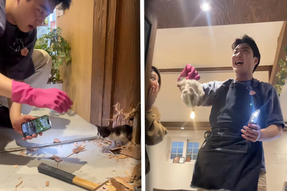 Trapped cat is saved by café owner after meowing through the walls!