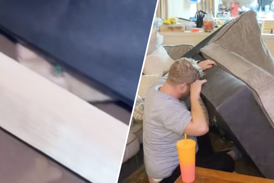 Cat hitches a ride in couch owner sold to friends in hilarious clip: "My husband thought I was crazy!"