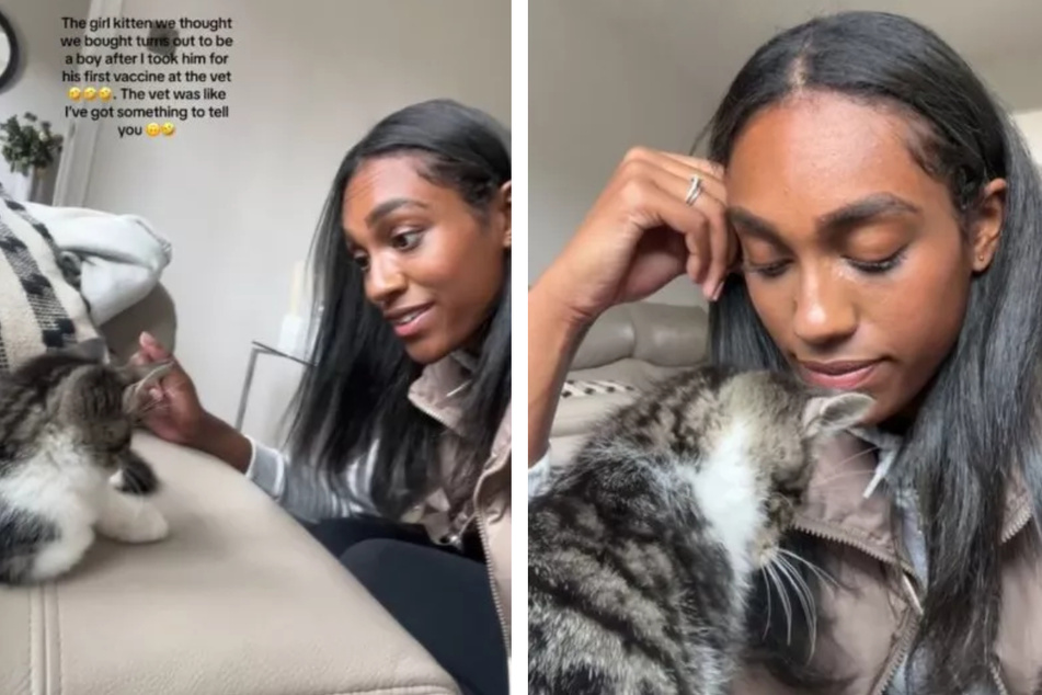 Woman takes cat to the vet – and can't believe what they uncover!