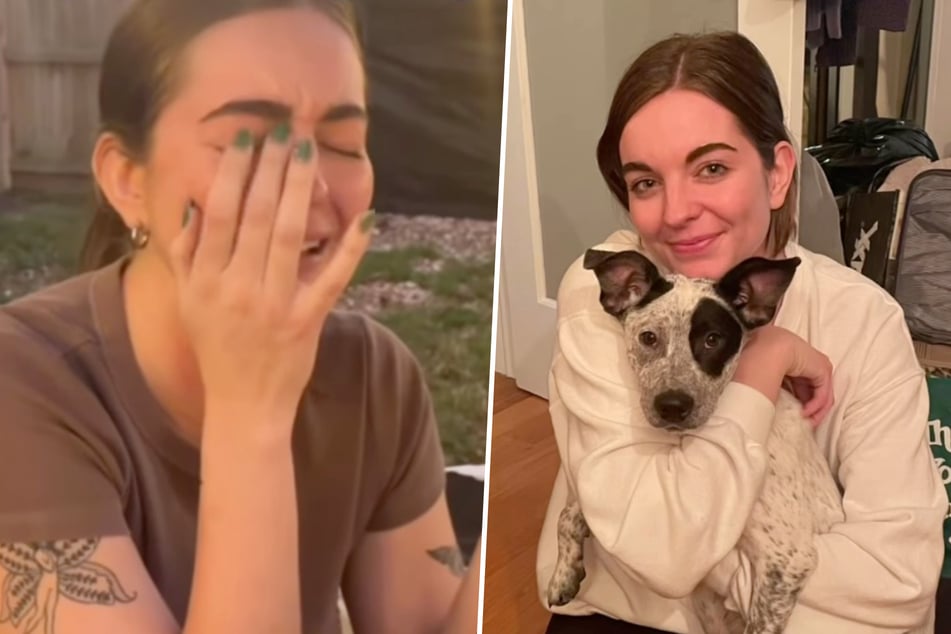 Dog owner weeps when she finally learns the truth of her rescue puppy's past origins