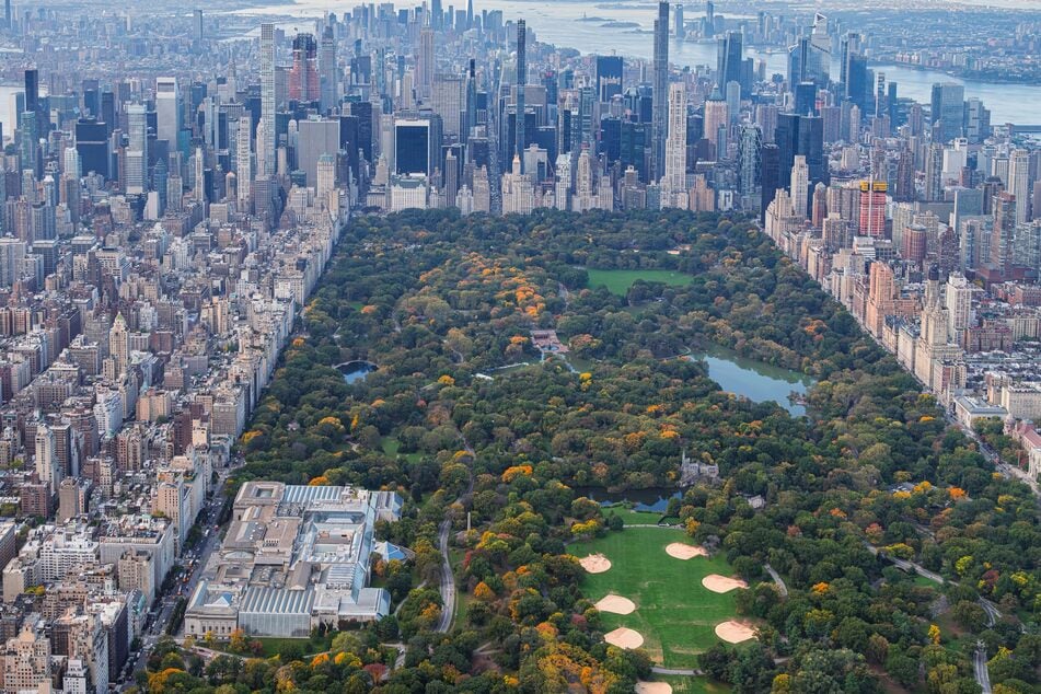 Mamdani and Hochul announce free World Cup final watch party in Central Park