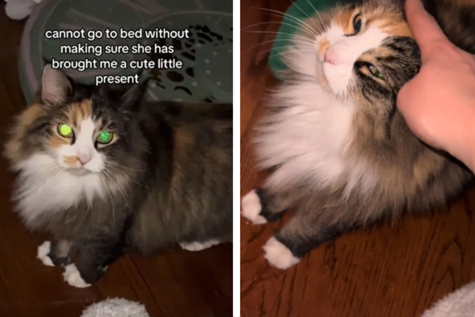 TikTok users couldn't get enough of Mason's adorable gifts.