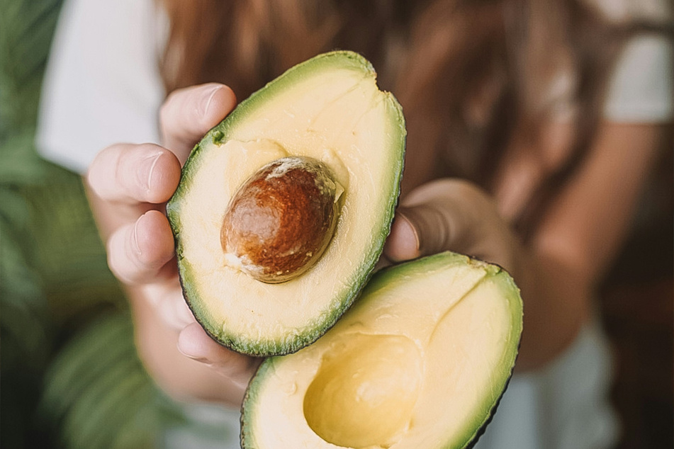 Avocados are delicious, but they're not for dogs.