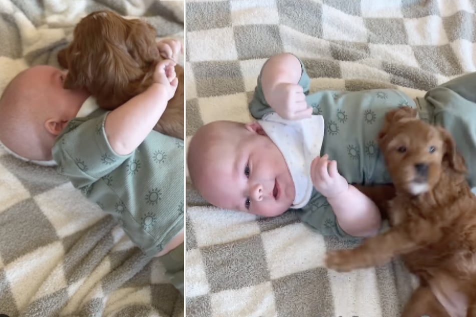 This encounter was a special first for both baby and puppy, who had never met anyone of the other kind before.