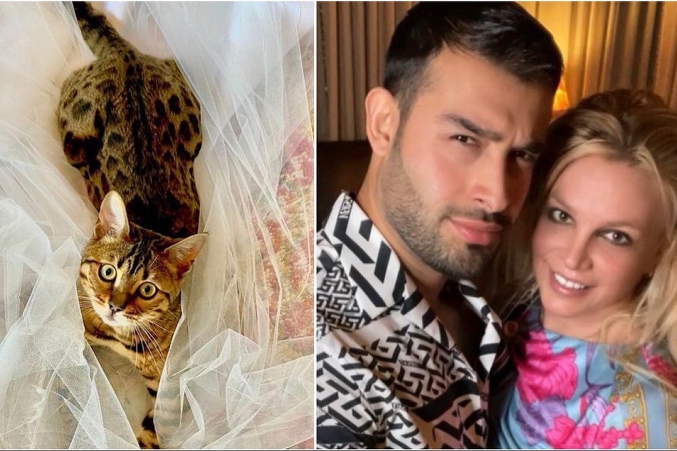 Britney Spears teases wedding look and a date for big day!