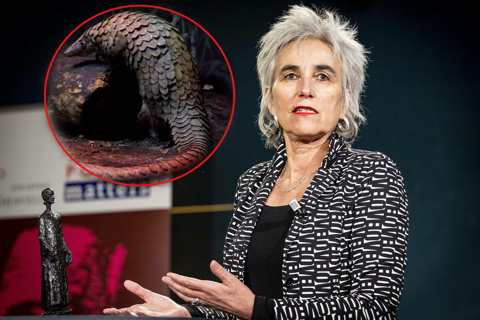 WHO virologists confirm that Covid-19 passed to humans through an animal