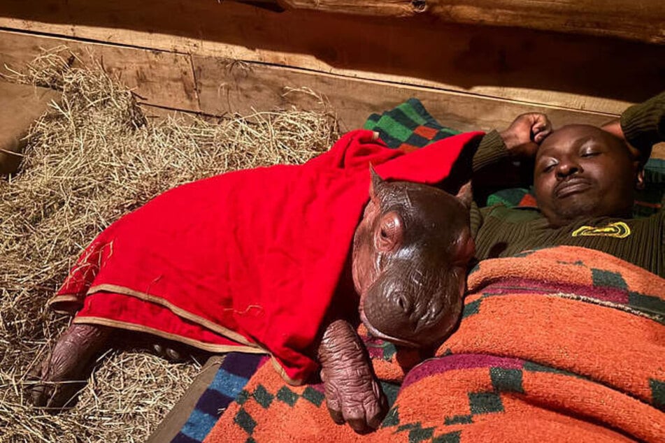 When caregiver Simon lay down on the floor, Bumpy didn't hesitate long and leaned against him.
