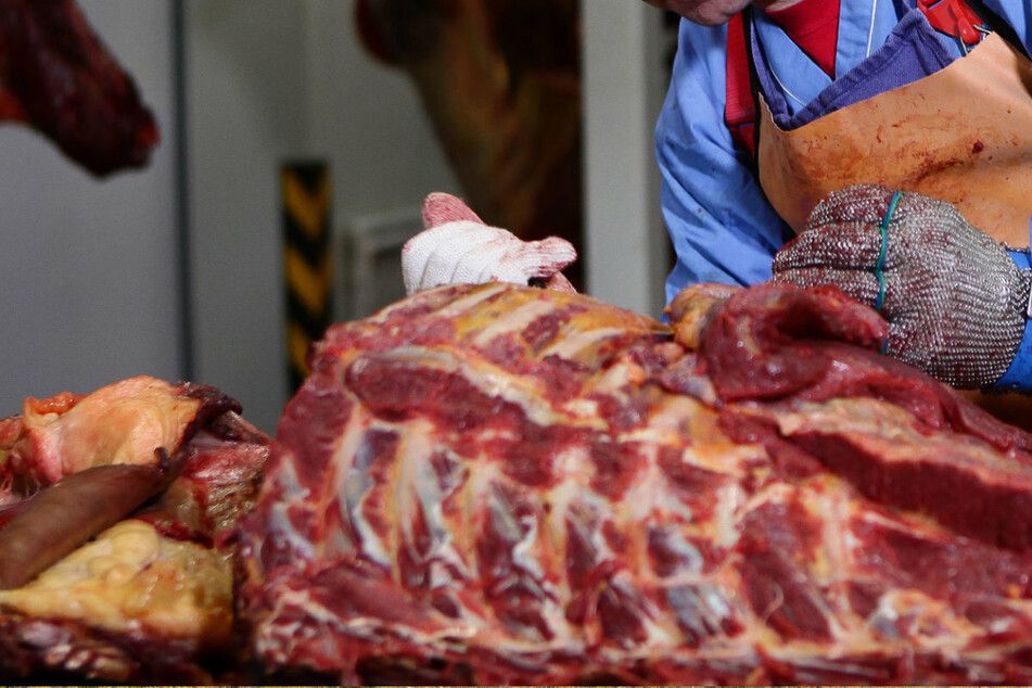 Instead of greener pastures, the horses were slaughtered (Stock image).