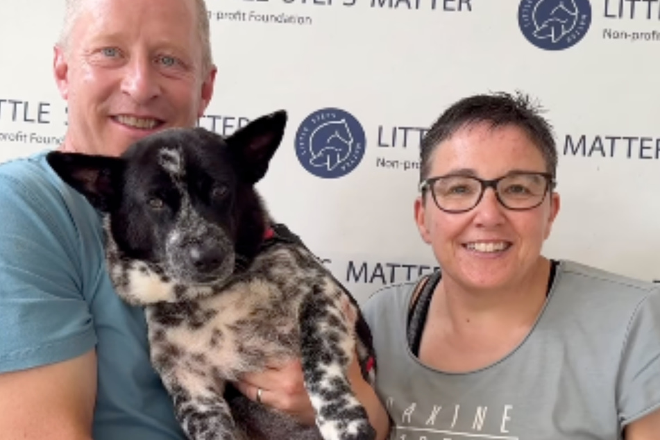 The dog has since been adopted by a family.