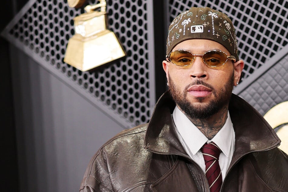 Chris Brown ordered to pay millions over his dog's horrific attack on housekeeper