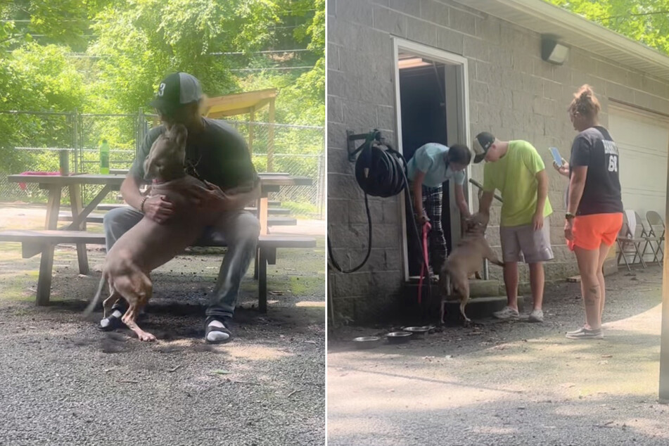 The reunion of Hennessy the dog and her family is adorable.
