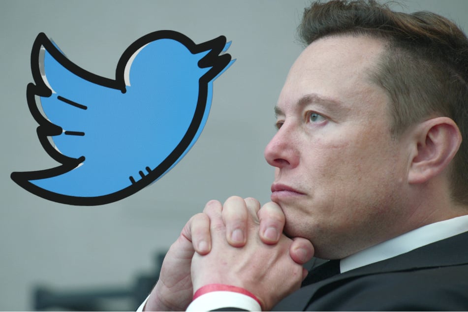 Elon Musk apologizes for publicly mocking disabled Twitter employee