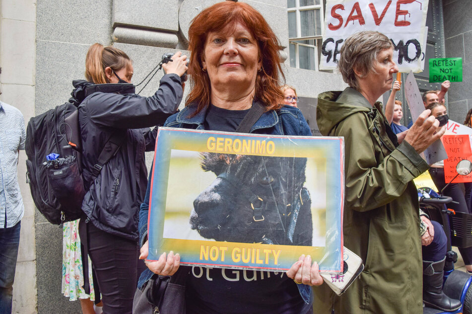 Geronimo has stirred tensions in the UK and mobilized 130,000 people to sign a petition protesting his death.