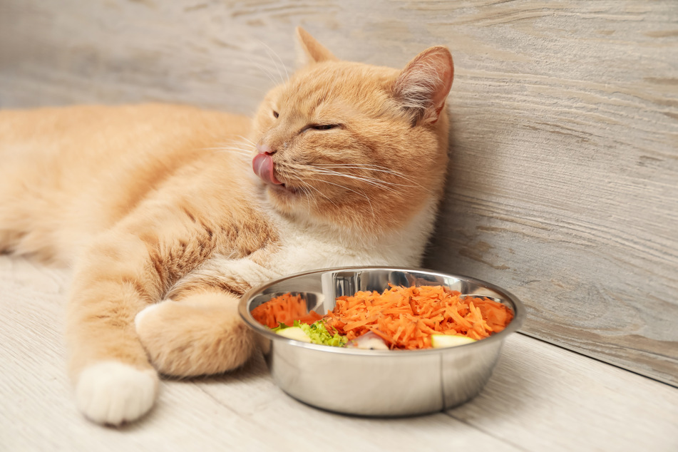 Cats can digest carrots better if they are peeled, chopped, and cooked first.