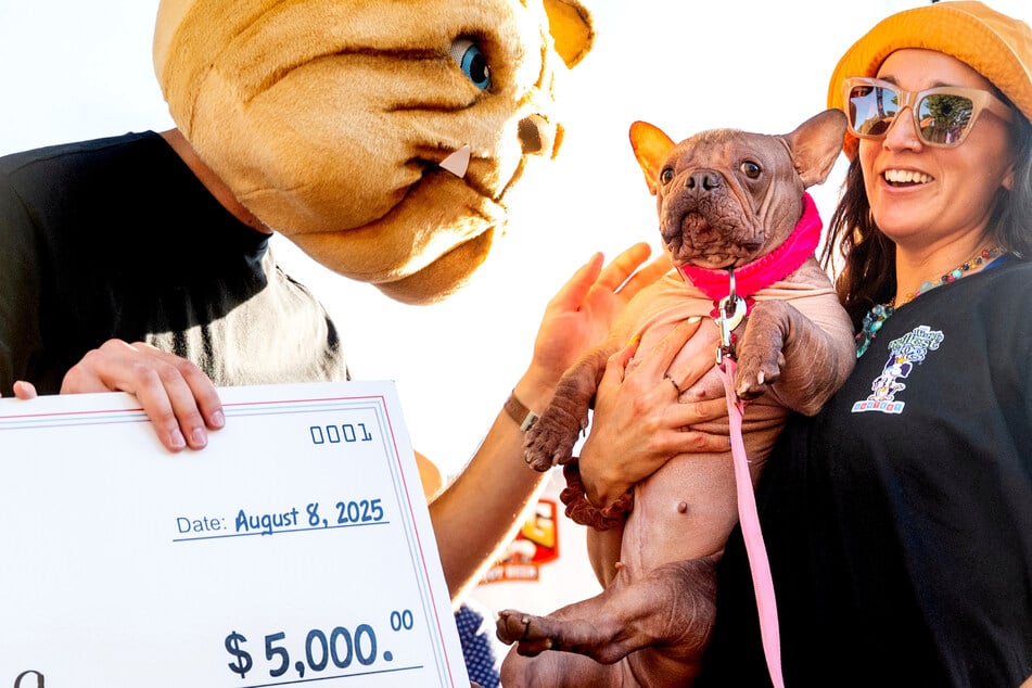 Furless, wrinkled, and fabulous – meet the 2025 World's Ugliest Dog competition champion!