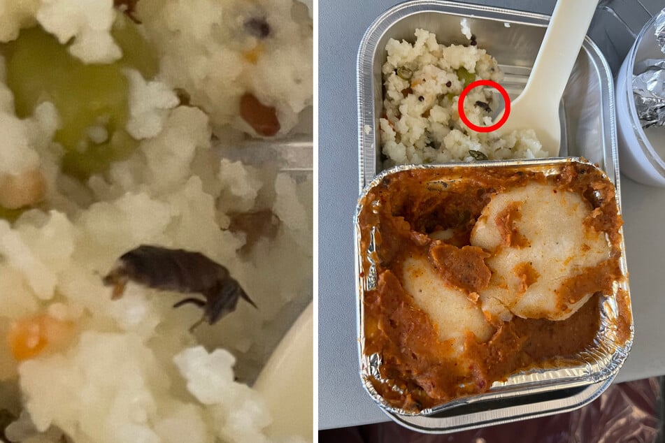 Is that a cockroach? The airline claimed it's just a piece of ginger!