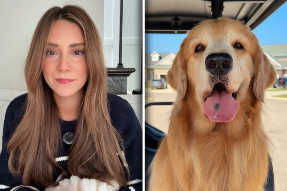 Beloved dog influencer Tucker gets heart-shattering news from the vet: "It is not over yet. I refuse"