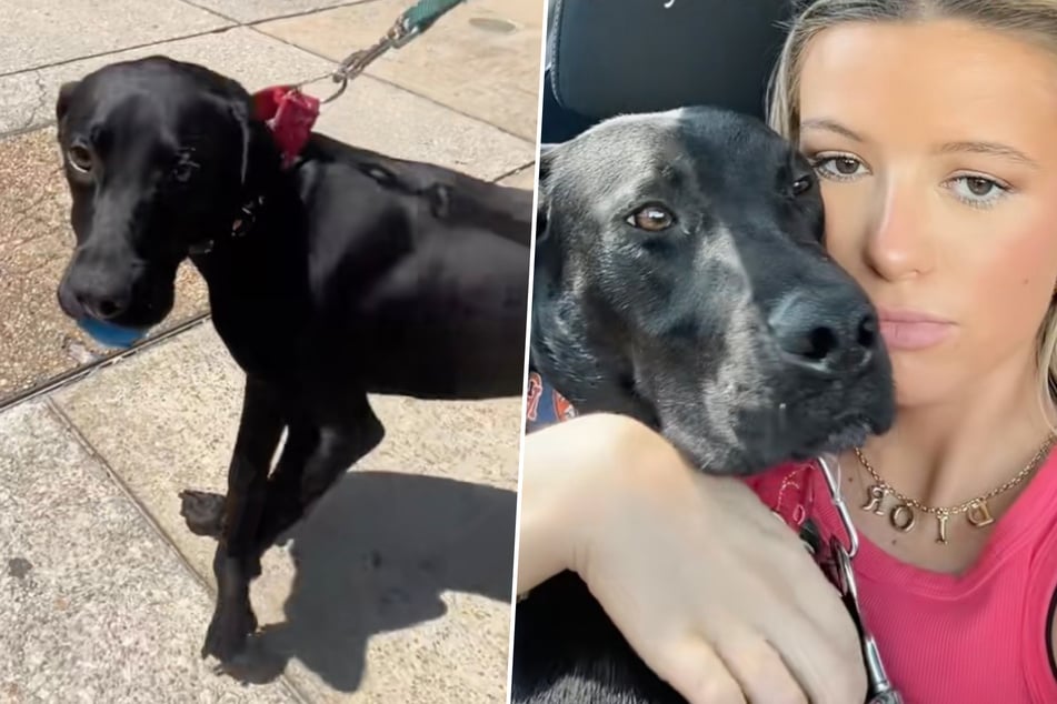 Hadlee Freeman (22) recently spent a few hours on the road with shelter dog Stetson.