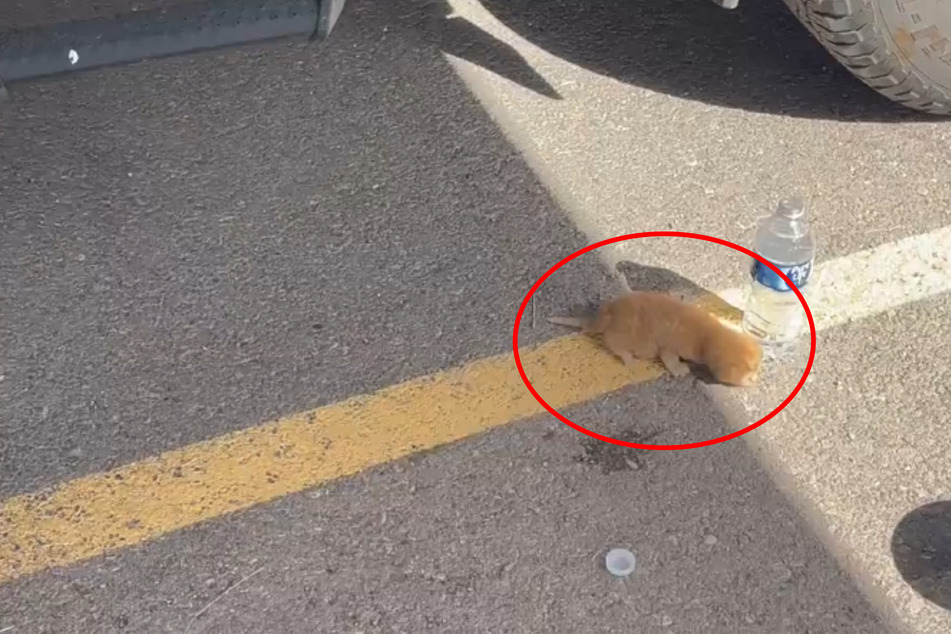 Thankfully, driver Michael Gassaway noticed something in the way of his parking space in time.