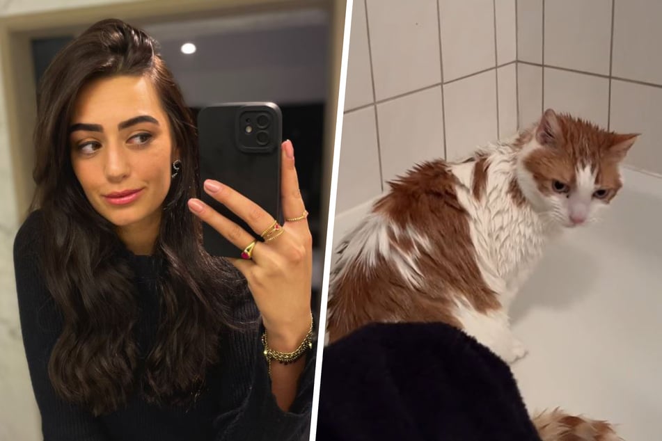 Dominique was shocked by her cat's reaction to the shower.