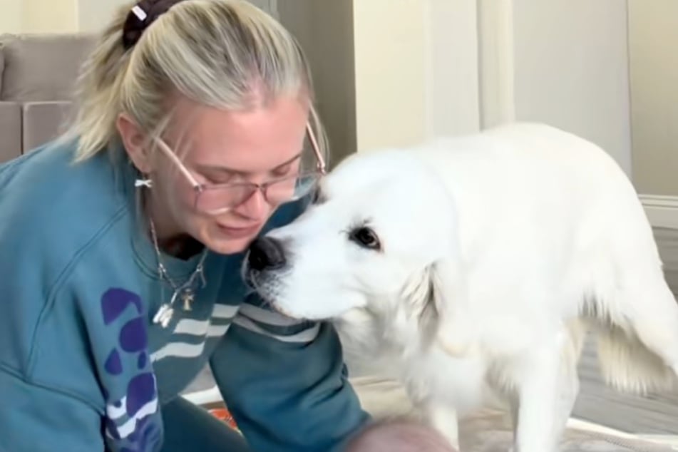 Teddy the dog doesn't give up and tries again and again to get his share of attention.