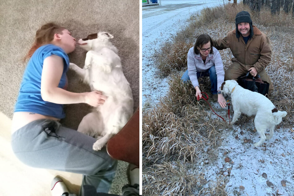 Dog reunited with family after fatal car crash thanks to community help