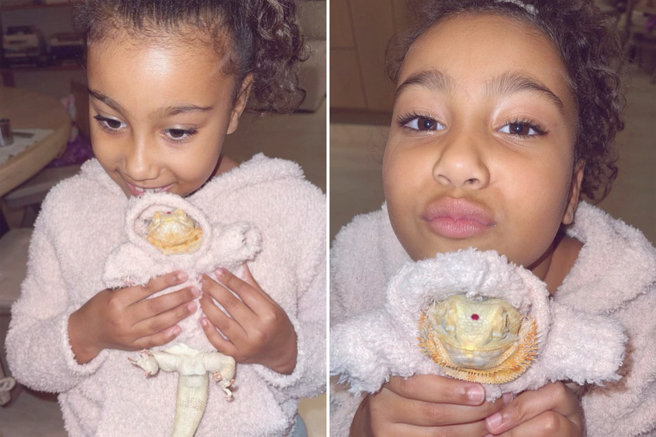 Around five years ago, Kim bought herself a bearded dragon, and caused quite a stir with a few Instagram posts.