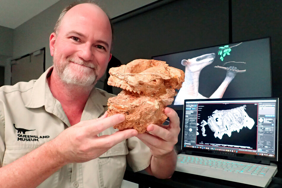 This handout photo taken on April 17, 2025, and released on April 23, 2025 by the University of Wollongong shows Scott Hocknull, a vertebrate palaeontologist and senior curator at the Queensland Museum, holding a Protemnodon skull fossil.