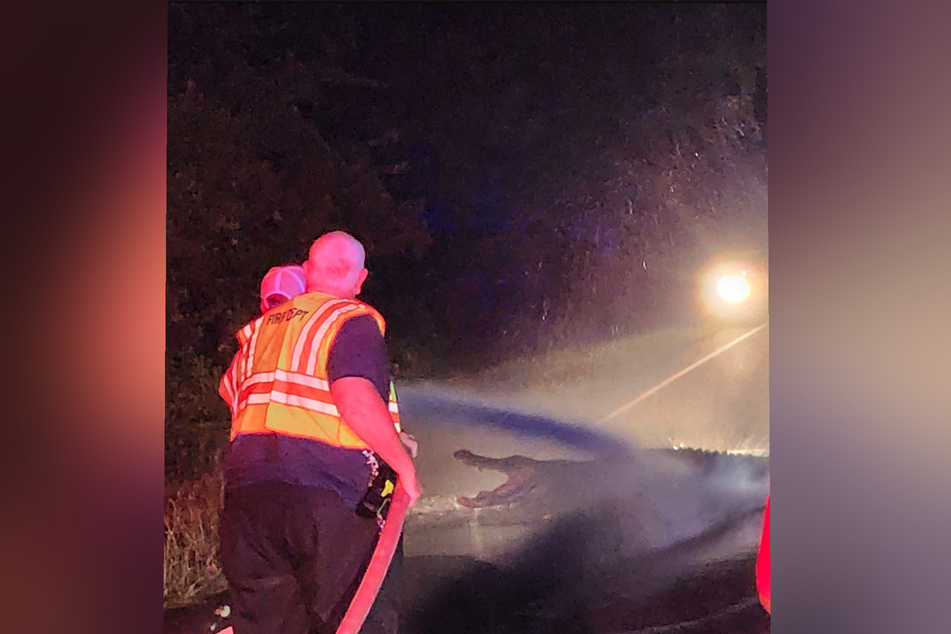 The problem was solved with a "gentle shower" from the fire crew.