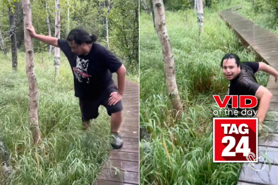 Viral Video of the Day for August 13, 2024: Man falls in swamp trying to climb tree: "Fawk!"