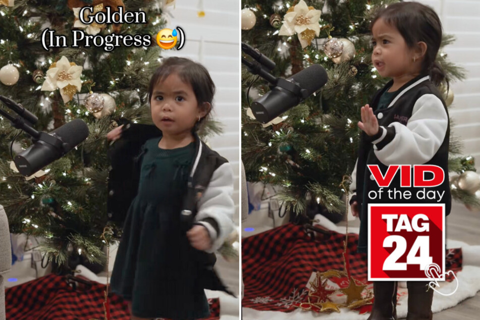 Viral Video of the Day for December 24, 2025: Toddler's sassy "Golden" performance steals the internet!