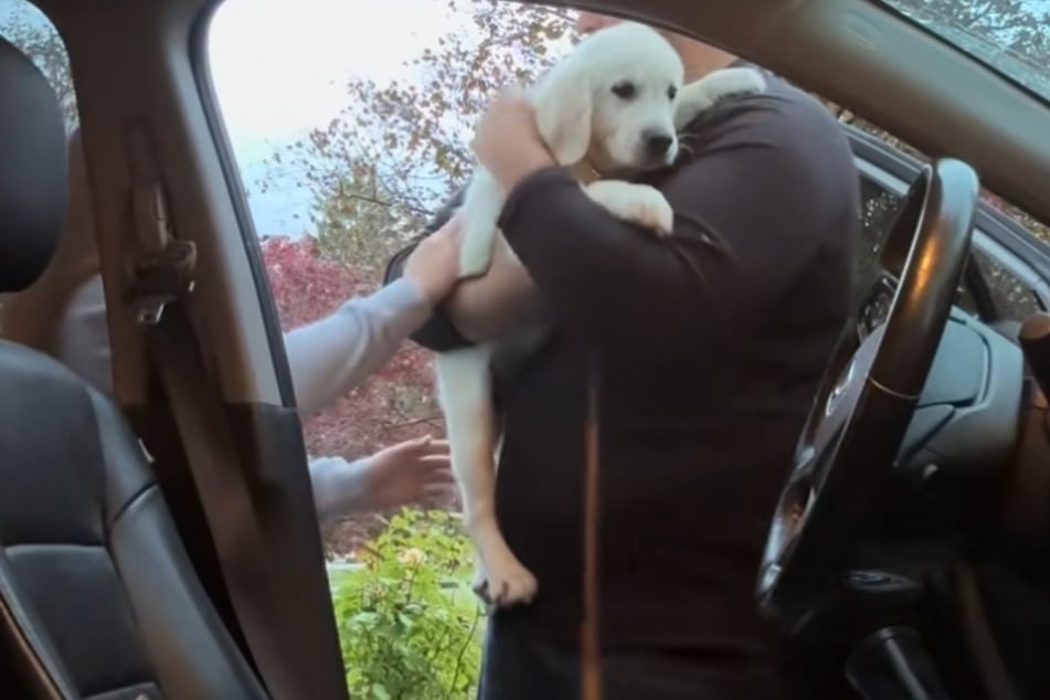 Ryan Hunt lovingly takes the cute dog in his arms after an initial moment of shock.