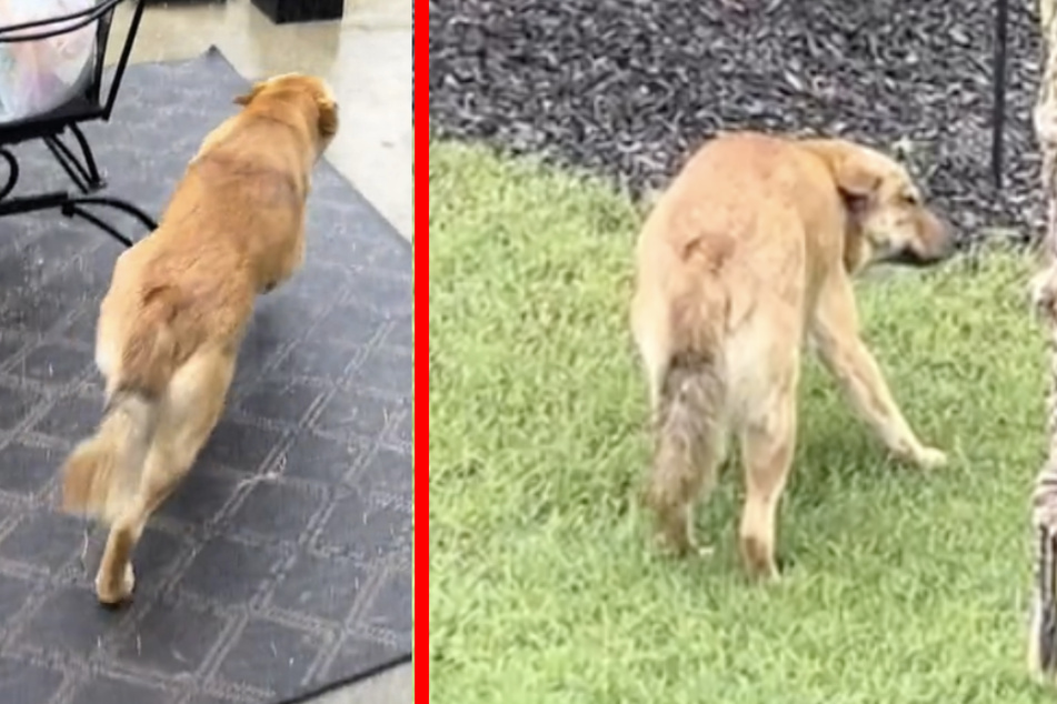 SunMi didn't suspect anything when she ran outside into the yard, but was soon greeted by dreaded rain.