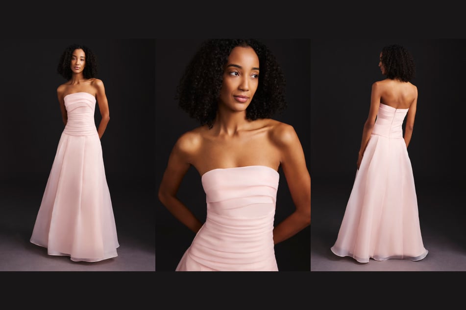 Vera Wang Strapless Organza Pleated Bodice Drop Waist Dress