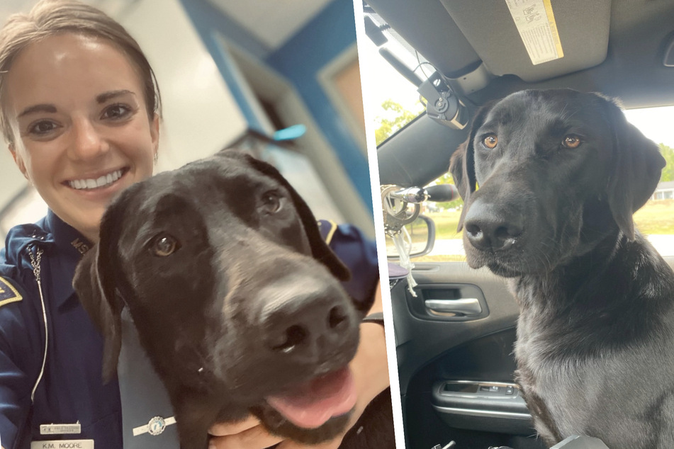 Abandoned dog hits the jackpot with police officer after being rescued!