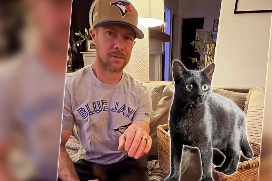 Cat lover adopts one kitty – then overnight her house is "accidentally" overrun with kitties!