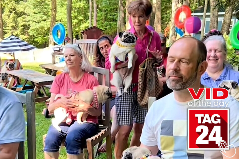Today's Viral Video of the Day shows a hilarious take on a viral TikTok dubbed the "lady on the plane," but this version features an adorable twist!