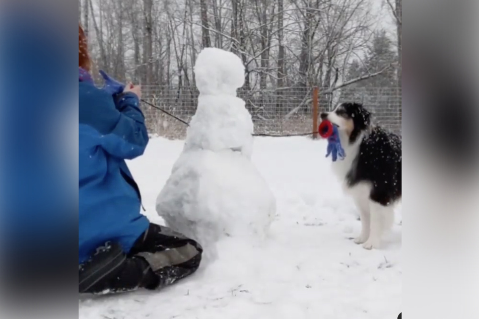 Secret and Mary love to spend their winters building snowmen together.