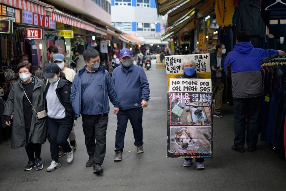 South Korean parliament passes historic bill on dog meat consumption!