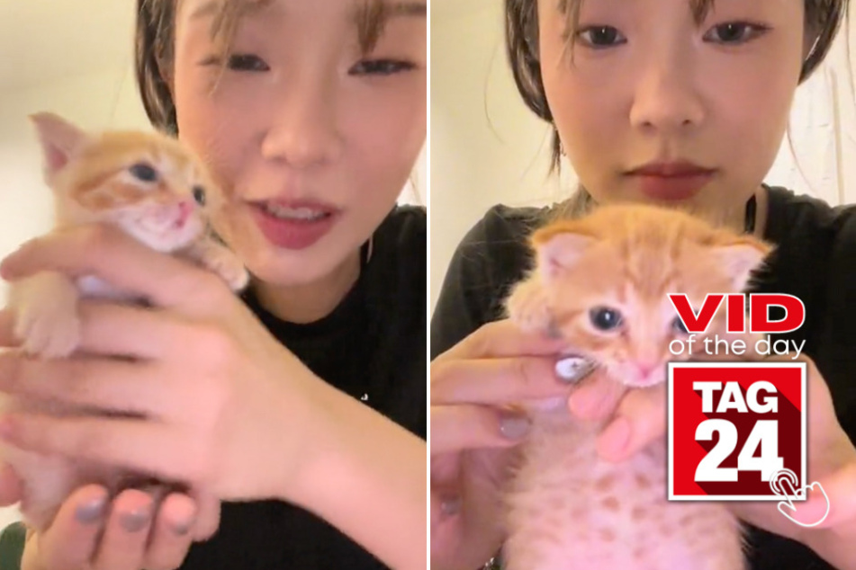 Viral Video of the Day for June 9, 2024: Cat with belly "full of soup" delights TikTokers!