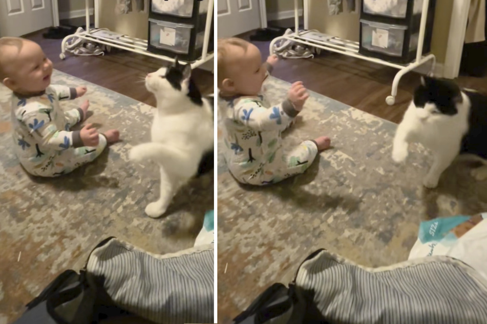 The loyal kitty refuses to leave the side of her best friend, and the child clearly loves her cat beyond measure.
