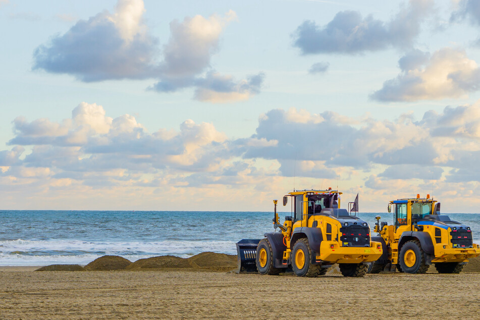 California woman falls asleep on the beach and is run over by tractor