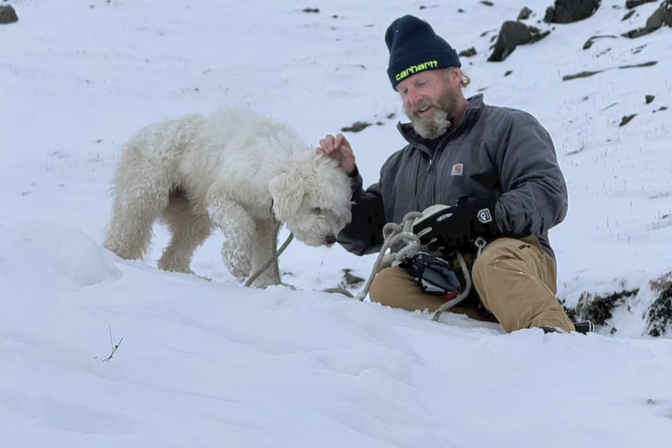 An AirTag wound up being the lifesaver for LouLou. It helped lead Lauren Padawer to the dog!
