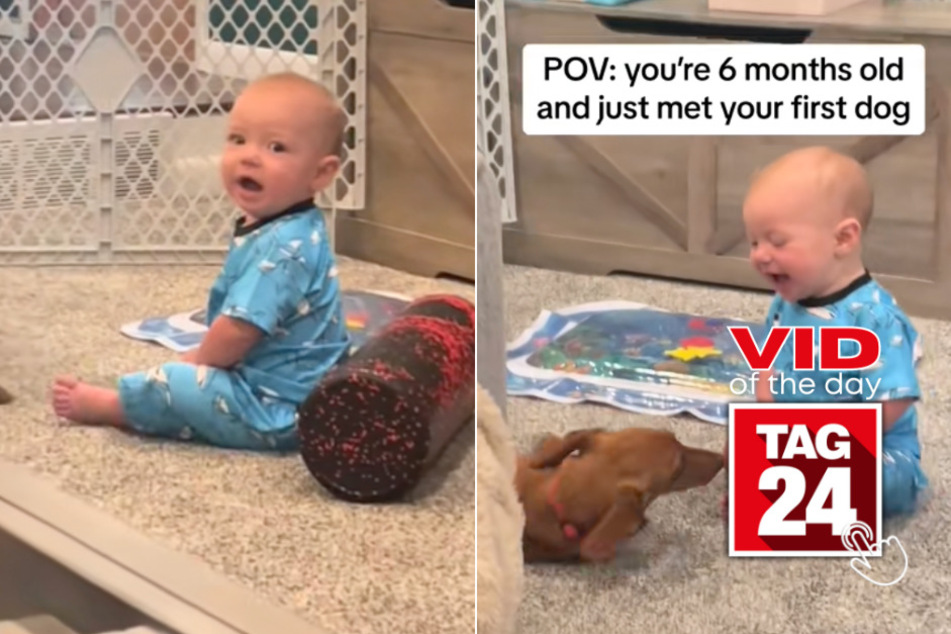 Viral Video of the Day for August 25, 2024: 6-month-old meets first pup ever – who's more excited?