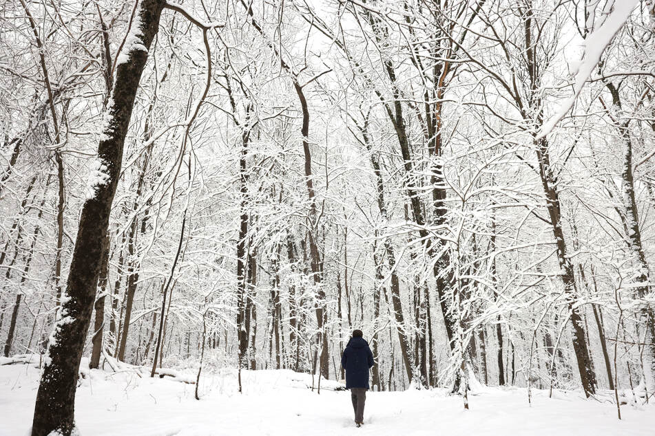 New York City's first serious snowfall leads to hundreds of canceled flights