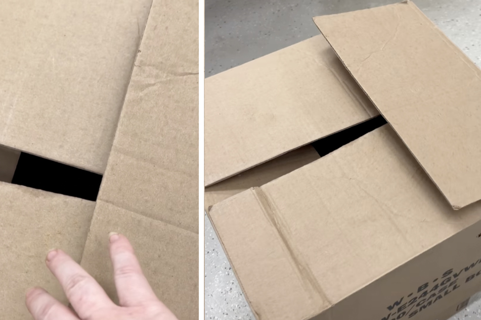 This cardboard box had been left next to a dumpster when an animal shelter volunteer just happened to pass by.