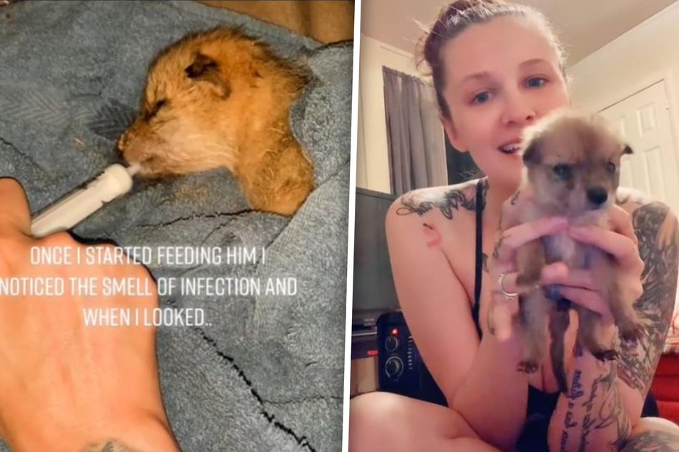 TikToker rescues stranded puppy from tornado and makes startling discovery