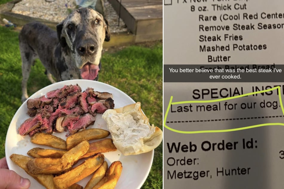 The last meal for Iris was prepared with a lot of love.